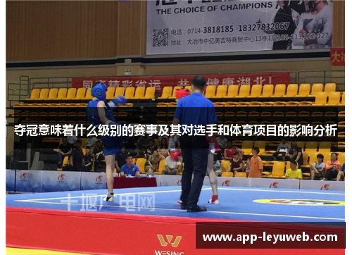 夺冠意味着什么级别的赛事及其对选手和体育项目的影响分析 夺冠意味着什么级别的赛事及其对选手和体育项目的影响分析