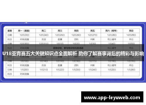 U18亚青赛五大关键知识点全面解析 助你了解赛事背后的精彩与影响