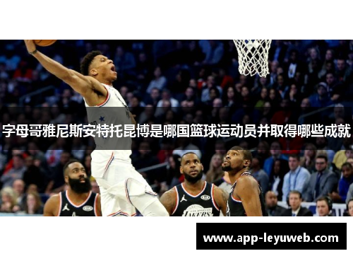 字母哥雅尼斯安特托昆博是哪国篮球运动员并取得哪些成就