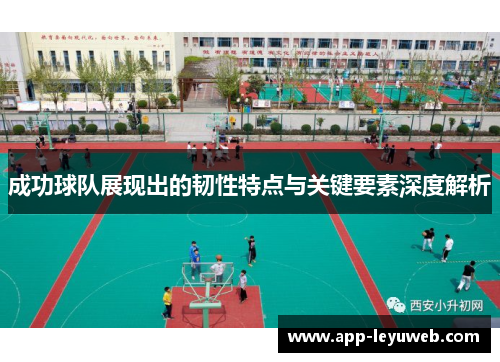 成功球队展现出的韧性特点与关键要素深度解析